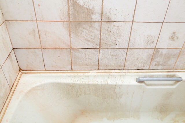 場所別 お風呂掃除のやり方 掃除の頻度や道具 カビを防ぐ方法を紹介 Limia リミア