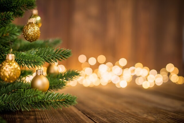 クリスマスツリーをキレイに飾ろう おすすめの木や星の飾りを紹介 Limia リミア
