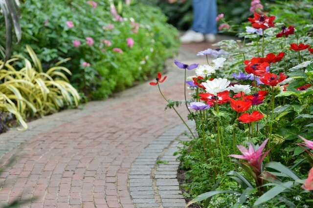お買い得モデル 簡単にレンガのお庭ができる Cure Garden<br>キュアガーデン 花壇ＫＲベージュタイプ
