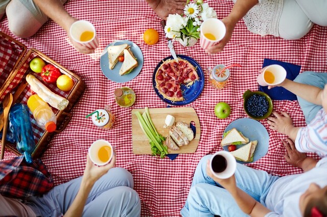 一味違うピクニックに おしゃれな布製のレジャーシート9選 Limia リミア