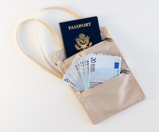 ダサい から卒業 実用的なかわいい首下げパスポートケース6選 Limia リミア