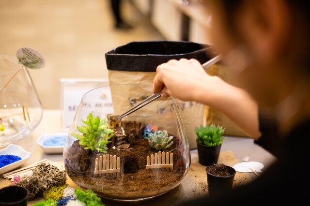 苔アート テラリウムや苔庭にぴったりの苔の種類や作り方を紹介 Limia リミア