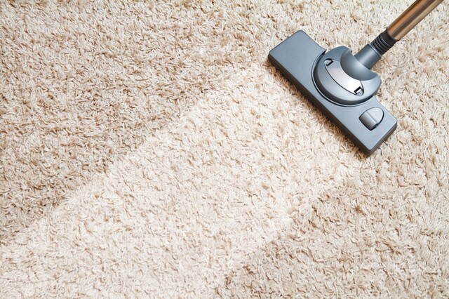 その絨毯きれいですか お手軽カーペット掃除方法を伝授 Limia リミア