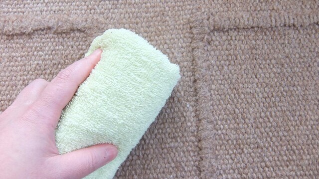 簡単 自宅でカーペット洗濯 洗濯機や手洗いの方法を紹介 Limia リミア