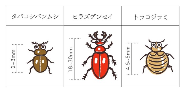 赤いゴキブリの正体は どこから侵入する 対策 駆除方法を紹介 Limia リミア