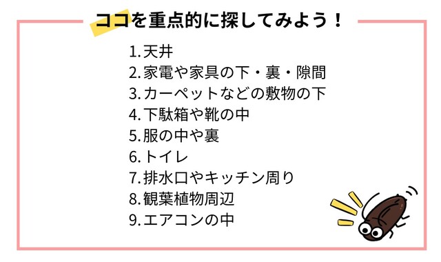 靴 の 中 に セール ゴキブリ