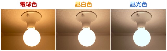 電球 種類