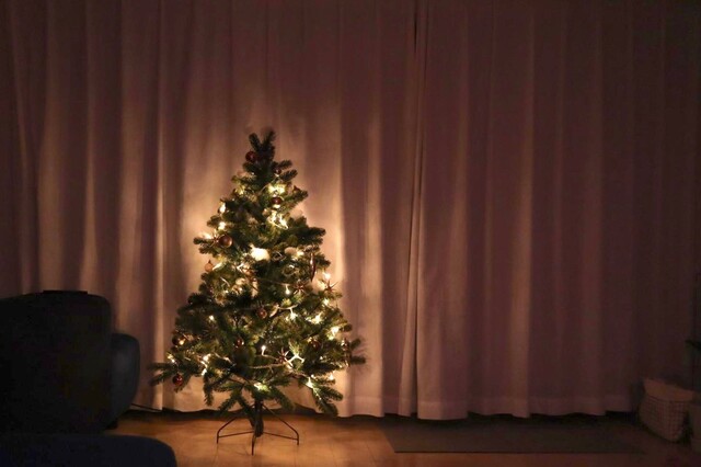おすすめクリスマスツリー7選 かさばらないクリスマスツリーの選び方 Limia リミア