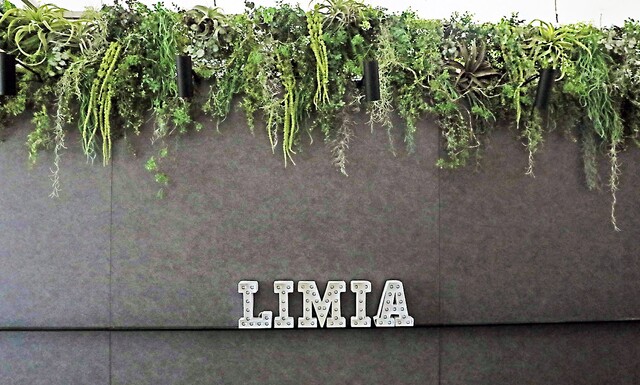 おしゃれなフェイクグリーンおすすめ選 壁掛け 大型などリアルな人工観葉植物 Limia リミア