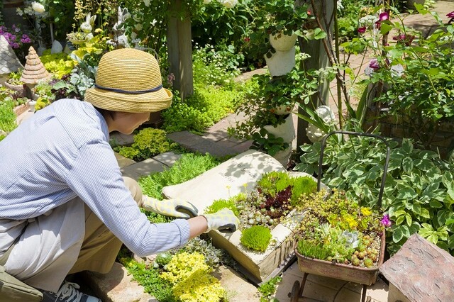 Diy 雑草対策できる 赤シラス をお得にゲット お庭で過ごす時間を豊かにしよう Limia リミア