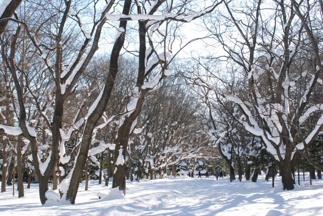 え ほんとに大丈夫 雨でも雪でも腐らない ウッドデッキ見てみない Limia リミア