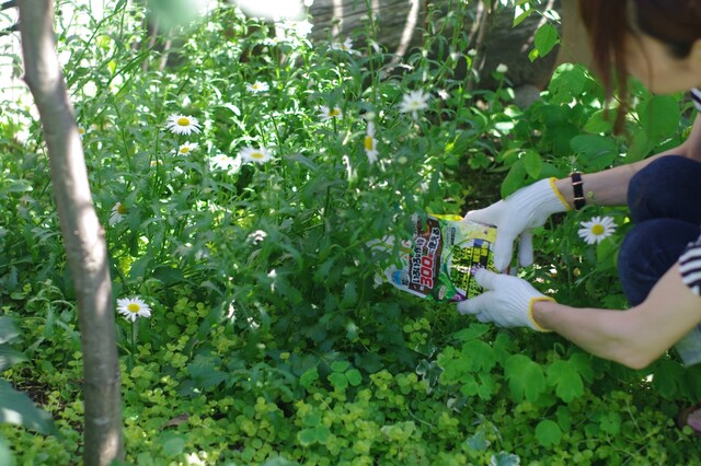 ガーデニングの害虫退治にはこれ アース製薬 やさお酢 と 土にまくだけ害虫退治オールスター でお悩み一気に解決 Limia リミア