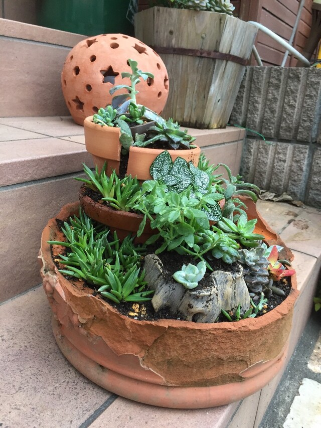 割れた植木鉢を再利用‼︎お城みたいに立体的に飾るガーデニング