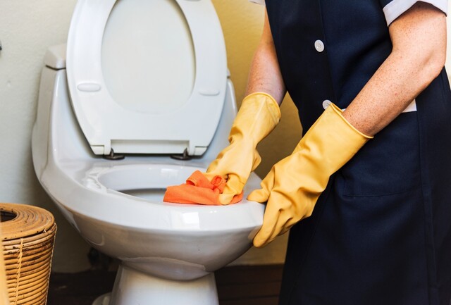 トイレの黄ばみ掃除はクエン酸で 床や壁にも使えるスプレーを作ろう Limia リミア