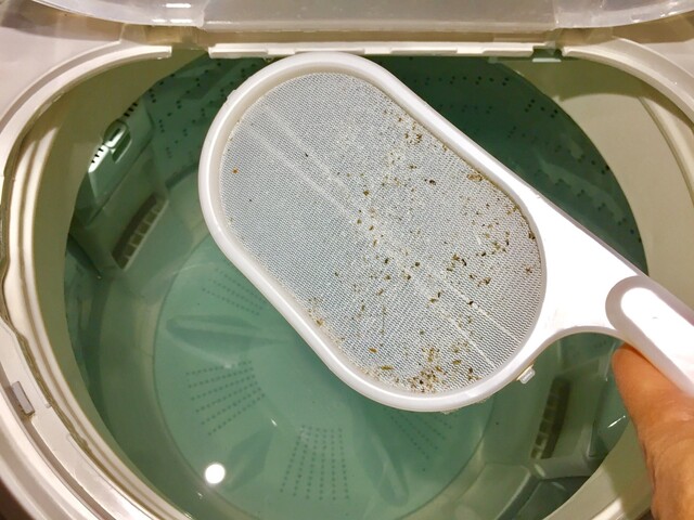 機 取り 洗濯 カビ 洗濯機カビが出続ける、洗濯槽の黒カビ（ワカメ）は本当に取りきれないのか調べてみた
