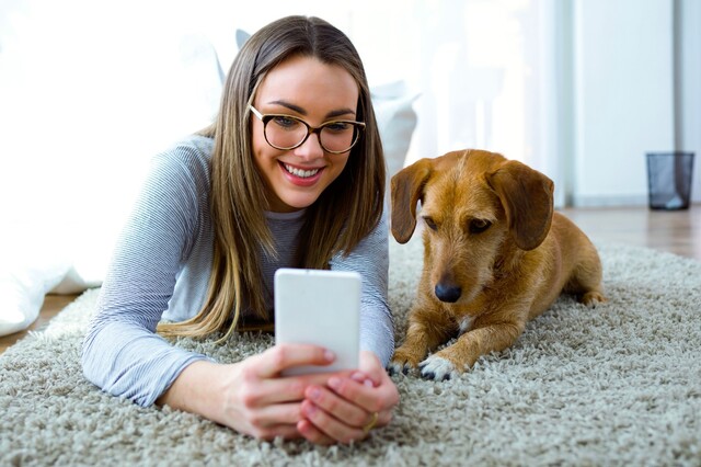 一人暮らしにおすすめのペットを紹介 飼う前の確認事項もまとめ Limia リミア