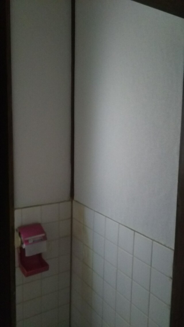 Diyで昭和な古いトイレを快適にしちゃいます その1 繊維壁に壁紙を