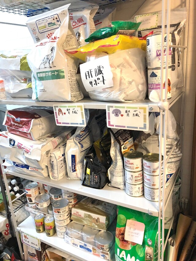 保護犬との出会いの輪が広がる 東京 町田市 小さな命を守る会 の新事務所オープン Limia リミア