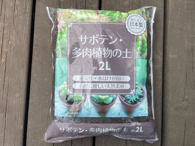 100均ダイソーで買える多肉植物の種類 22年の入荷情報や育て方まとめ Limia リミア