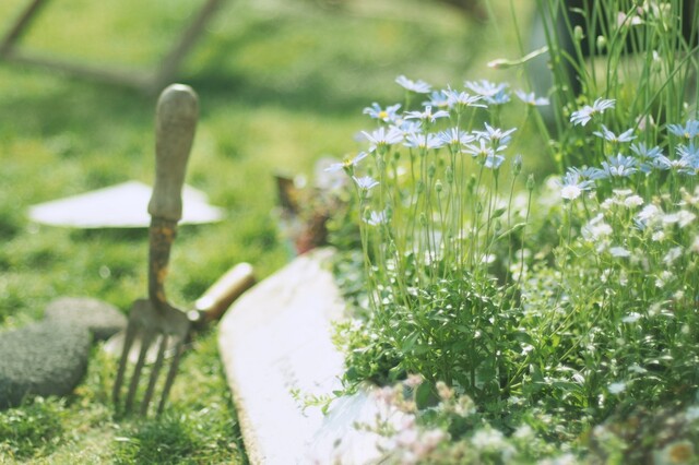 お庭だっておしゃれに変身 さっそく挑戦したいガーデンdiyのアイデア特集 Limia リミア