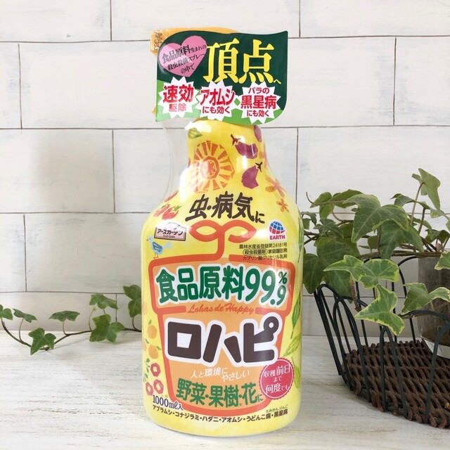 プランターガーデニングの救世主 害虫 病気の時にこれ一本 安心して使える食品原料99 9 のスプレーで撃退 Limia リミア