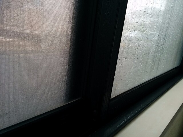 窓の結露で悩んでいるお宅必見 結露対策でカビを防ごう Limia リミア