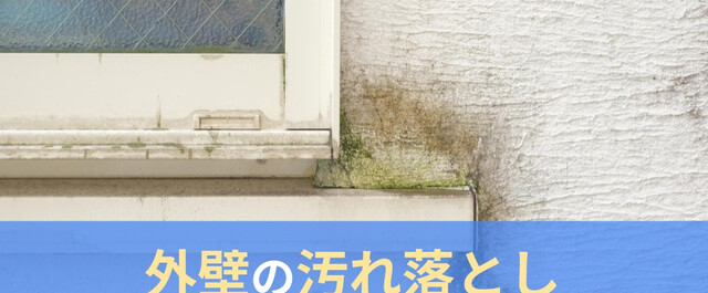 業務用 コケ・コンクリートの黒ずみに。４kg 言うまでもなく