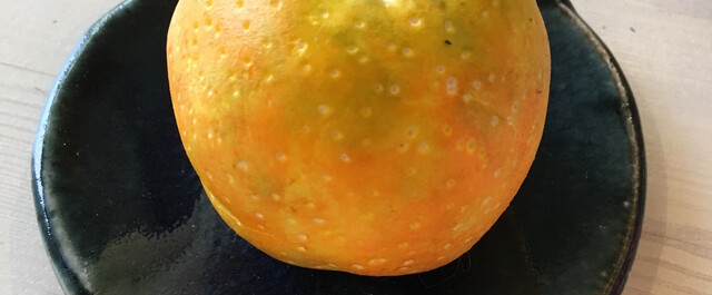 100均材料で簡単に出来る 本物みたいな オレンジ みかんのスクイーズの作り方 子供たちと工作タイムを楽しもう Limia リミア