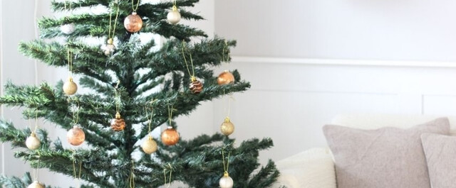 生木のクリスマスツリーおすすめ5選 お手入れ方法も要チェック Limia リミア
