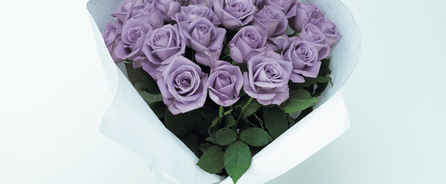 特別なシーンのプレゼントに青いバラやカーネーションを贈ろう Limia リミア