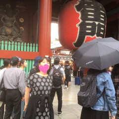 雨季ウキフォト投稿キャンペーン/令和の一枚/旅行 土日、東京行ってきました！
次男元気にし…(5枚目)