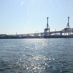 風景/大阪/おでかけ/旅行/フォロー大歓迎/LIMIAおでかけ部/... 船からの写真をもう一枚アップ✨
天気が良…(1枚目)