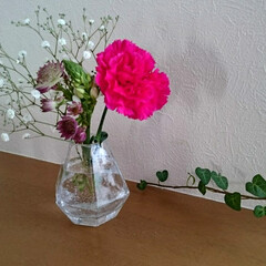 フラワーベース/お花のある暮らし/お花/ニトリ/暮らし/フォロー大歓迎 久しぶりにお花を飾りました🌼
お花の定期…(1枚目)