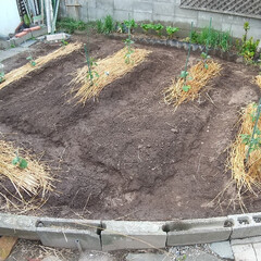 家庭菜園/ガーデニング 庭のプチ改造～
少し込み入っているところ…(2枚目)