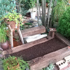 花壇DIY/ガーデニング 庭のプチ改造♪
ガーデナーがアプローチに…(1枚目)