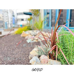 ホテルエントランス/植栽デザイン/植栽/エントランスデザイン/庭園/庭/... "*弊社デザイン施工例*"
イタリアン…