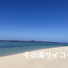 イベント料理/海好き アグー豚のサンド🐽イン沖縄(2枚目)
