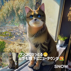 猫友さんバンザイ/親ばかあつまれ/AIで加工したケロちゃん 昨年3月に投稿したAIアプリでケロを加工…(9枚目)