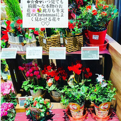 自然/今迄/工夫/interior/節約術/自分なりに/... 朝一から行きつけのスーパーin DAIS…