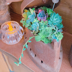 ダイソー雑貨/お花のある暮らし/寄せ植え/雑貨/みどりのある暮らし/植物のある生活/... 100均ゆらゆらライト💡
2個セットのラ…