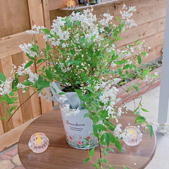 DIY女子/100均リメイク/セリアリメイク/お花のある暮らし/お花と生活/100均/... 植物専用のお家の前です♫
レンガ🧱を並べ…(1枚目)