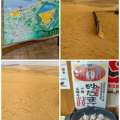 「鳥取県  砂丘

この日は ☔️雨と強風…」(1枚目)