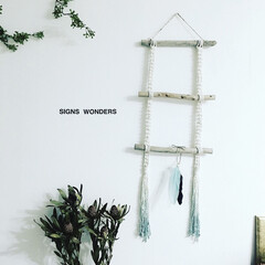 ラダー/流木/DIY/雑貨/100均/ダイソー/... 流木ラダー作りました(♥´꒳`*)(*´…