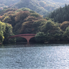 紅葉/秋 湖の紅葉は、色づくまでもう少しかかりそう…(2枚目)