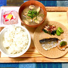手作り料理/和食/ほうれん草のおひたし/大根おろし/アジの塩焼き/美味しい/... とある日の朝食メニューです。

・白米
…(1枚目)