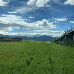 田舎の風景/風景写真 久しぶり気持ちの良い景色〜(*´꒳`*)…(1枚目)