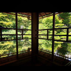 旧竹林院/元里坊/日曜日のお出かけ 庭園を眺めてのんびり(*´꒳`*)
〜1…(9枚目)