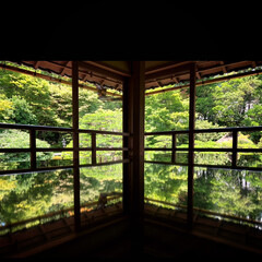 旧竹林院/元里坊/日曜日のお出かけ 庭園を眺めてのんびり(*´꒳`*)
〜1…(2枚目)