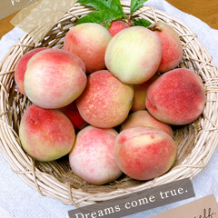 桃狩りしました⤴︎⤴︎😆🙌/会社の庭の果実 暑い日が続きましたね〜💦
🍑果実は色づき…(1枚目)