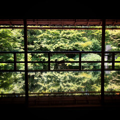 旧竹林院/元里坊/日曜日のお出かけ 庭園を眺めてのんびり(*´꒳`*)
〜1…(8枚目)